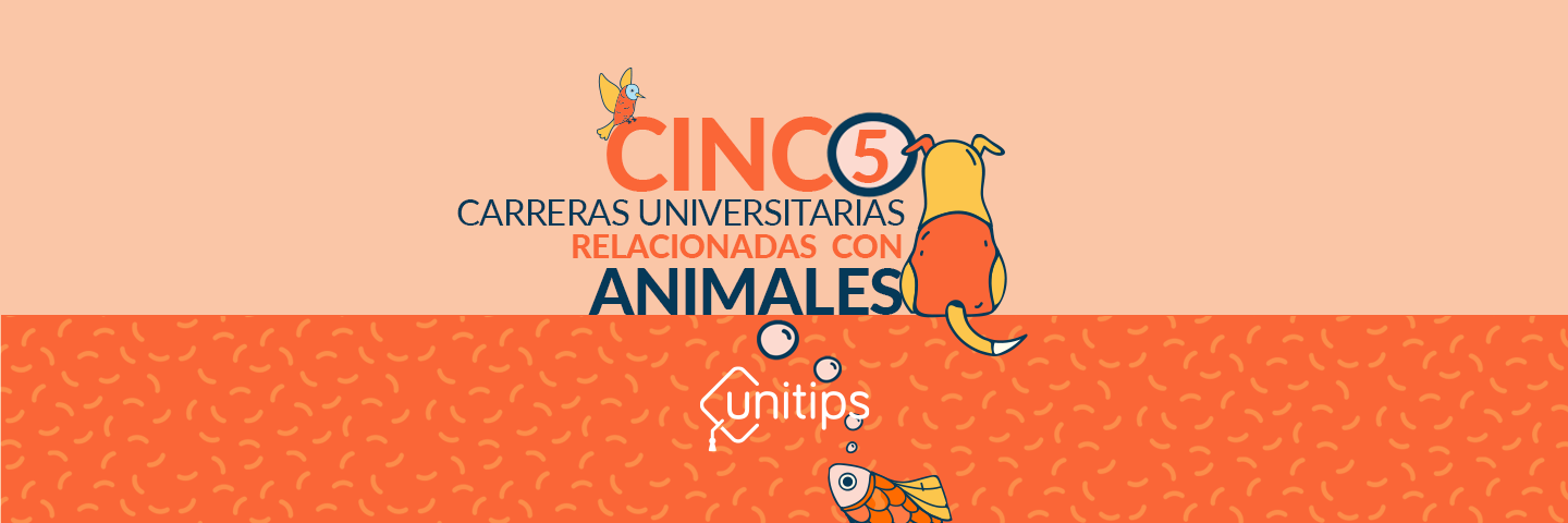 Carreras relacionadas con discount animales y bien pagadas